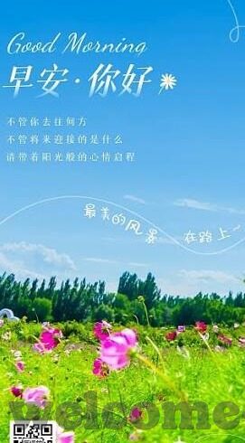 球体足球比分网-深度揭秘球体足球比分网，球迷的掌上观赛神器与数据宝藏库