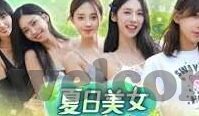 世界杯拳击队长-世界杯拳击队长，荣耀背后的汗水与坚持